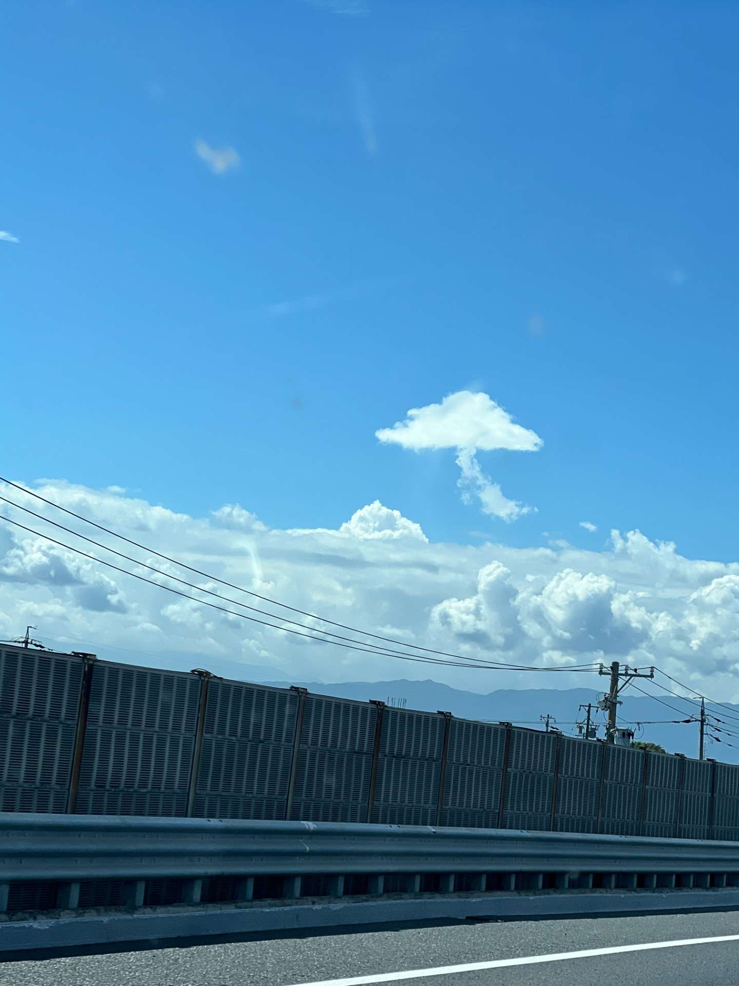 きのこ雲　見つけたよ！岐阜県養老町ブリーダーのワンダフルパピーです。