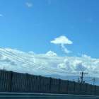 きのこ雲　見つけたよ！岐阜県養老町ブリーダーのワンダフルパピーです。